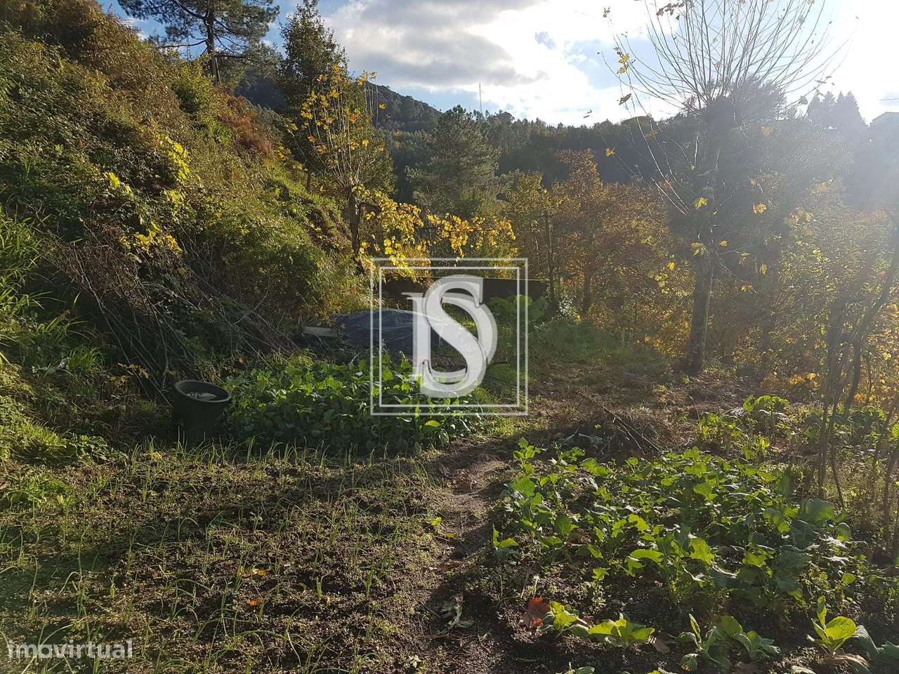 Terreno Não definido em UDF de Caniçada e Soengas - Grande imagem: 5/8