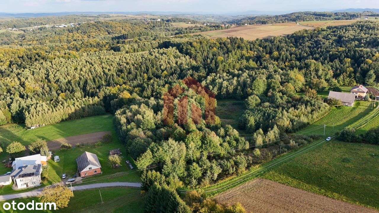 1,47 ha, Wz! dom w lesie? biznes? Jedyna taka!-7