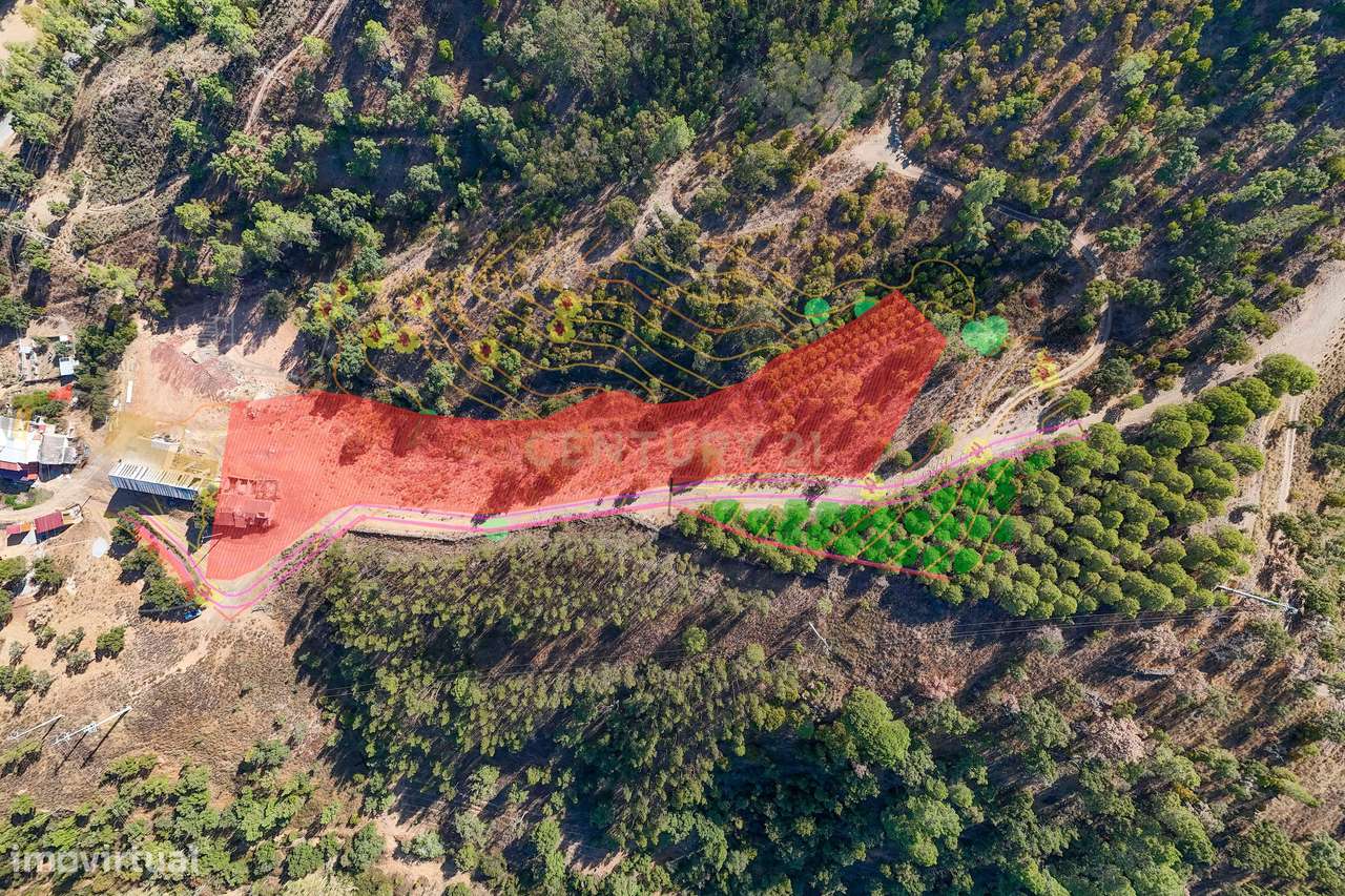 Ruína com 209m2 + Terreno | São Brás de Alportel - Grande imagem: 1/34