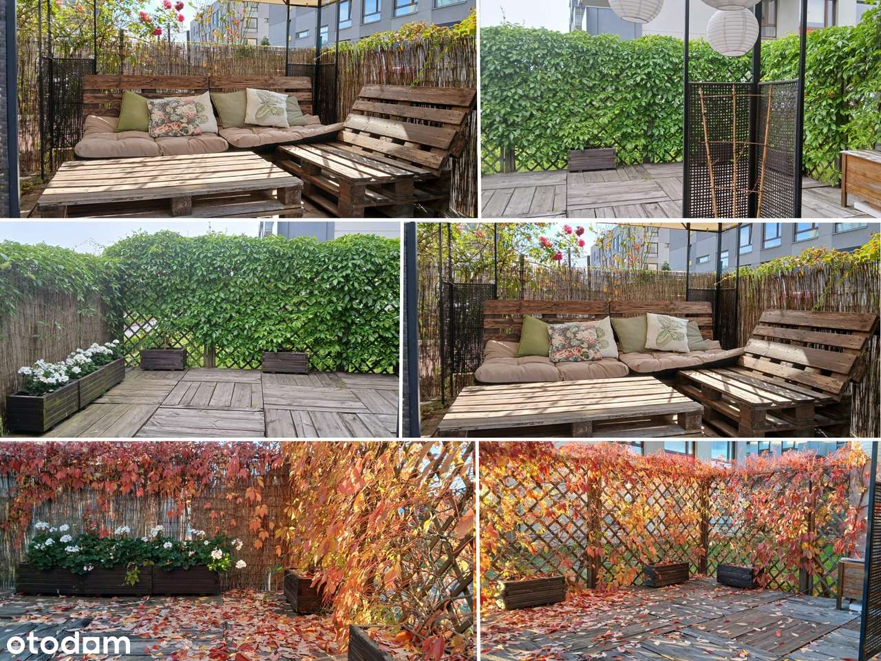 Dwupokojowe mieszkanie z dużym ogródkiem | Nowsze budownictwo | Sławin-16