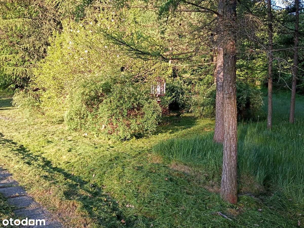 Magiczne siedlisko z lasem, rzeczką i historią-12