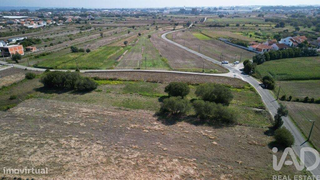 Terreno Agrícola em Cacia - Grande imagem: 5/7