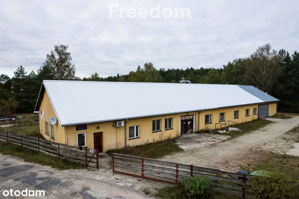 Hala produkcyjno-magazynowa na sprzedaż - Pełny obrazek: 4/20