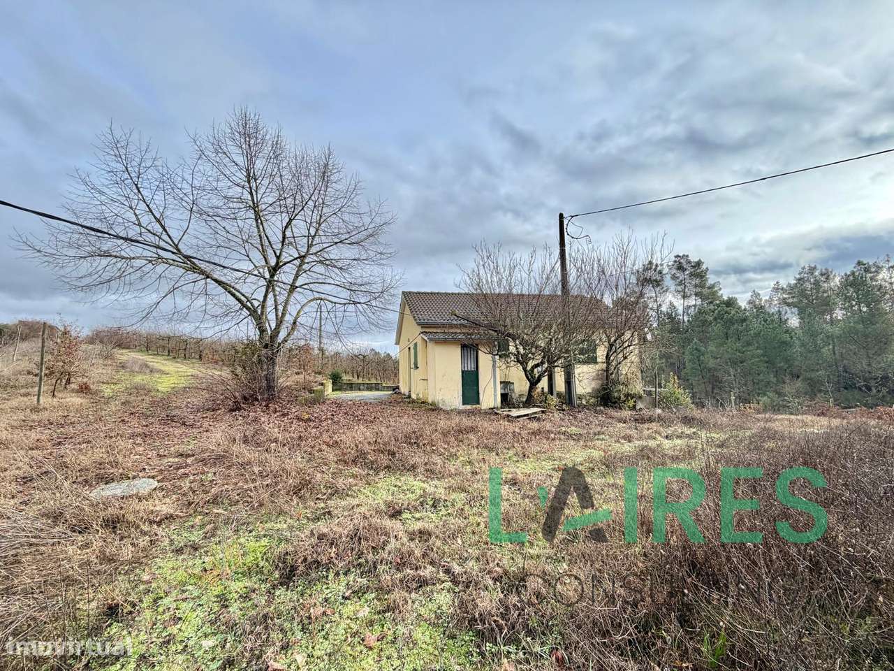 Quinta Agrícola de 4ha com Moradia T1  – Sezures, Penalva do Castelo - Grande imagem: 4/11