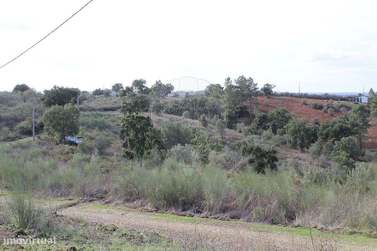Terreno  para venda-3