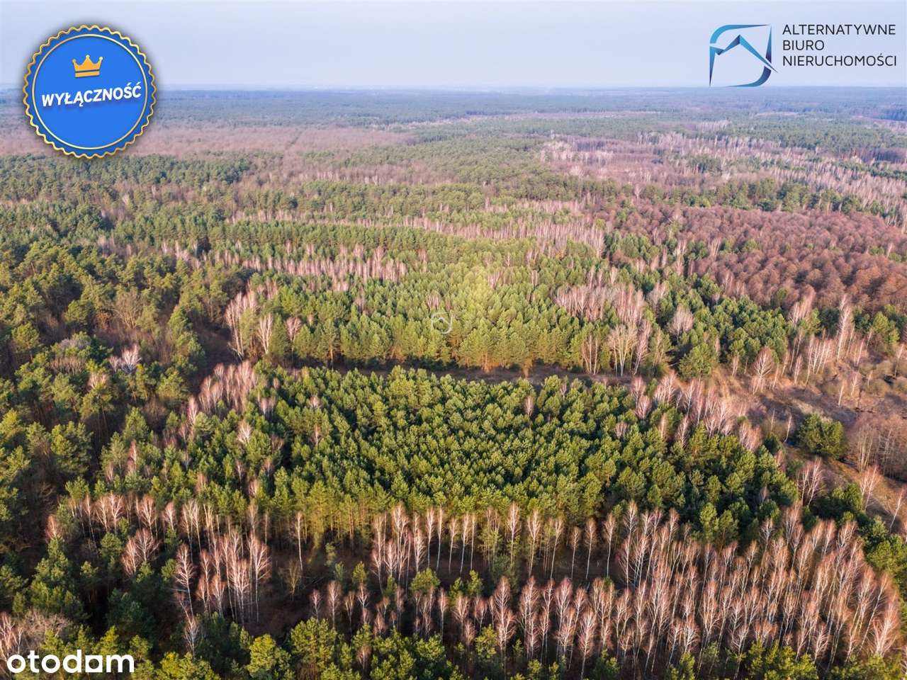 Atrakcyjna działka w Nowym Stawie G. Niemce - Pełny obrazek: 4/14