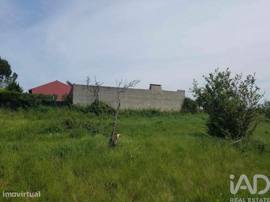 Terreno em Carvalhal de 5880,00 m2 - Grande imagem: 2/9