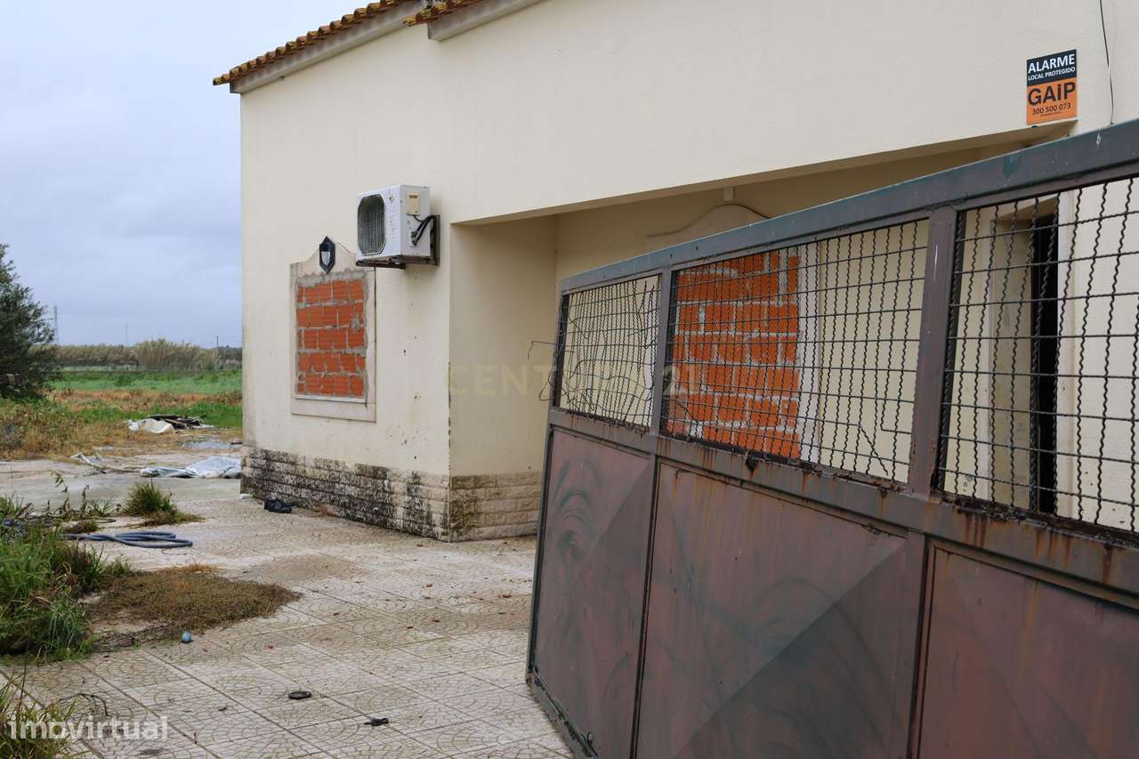 Alcochete, Estrada do Rego da Amoreira, Quinta c/ 1.250 m2 urbanos + 5 - Grande imagem: 5/25