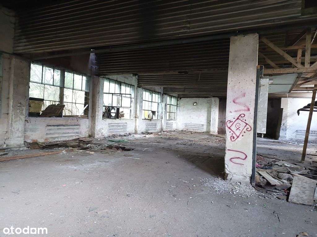 Działka z halą magazynową-6