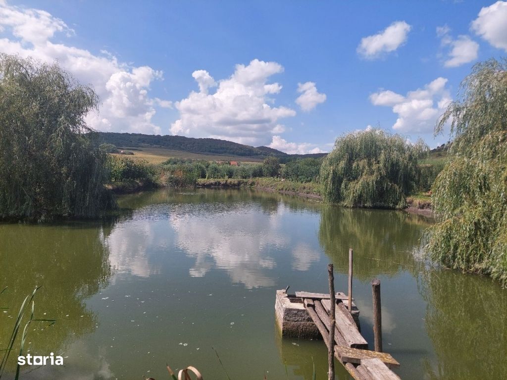 Livada cu cabana si lac (12.ooo mp) la Dostat