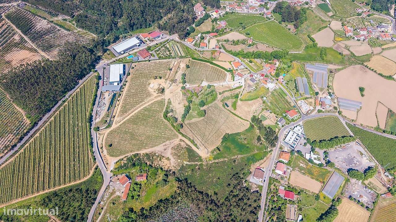 Quinta T11 para venda - Grande imagem: 4/25