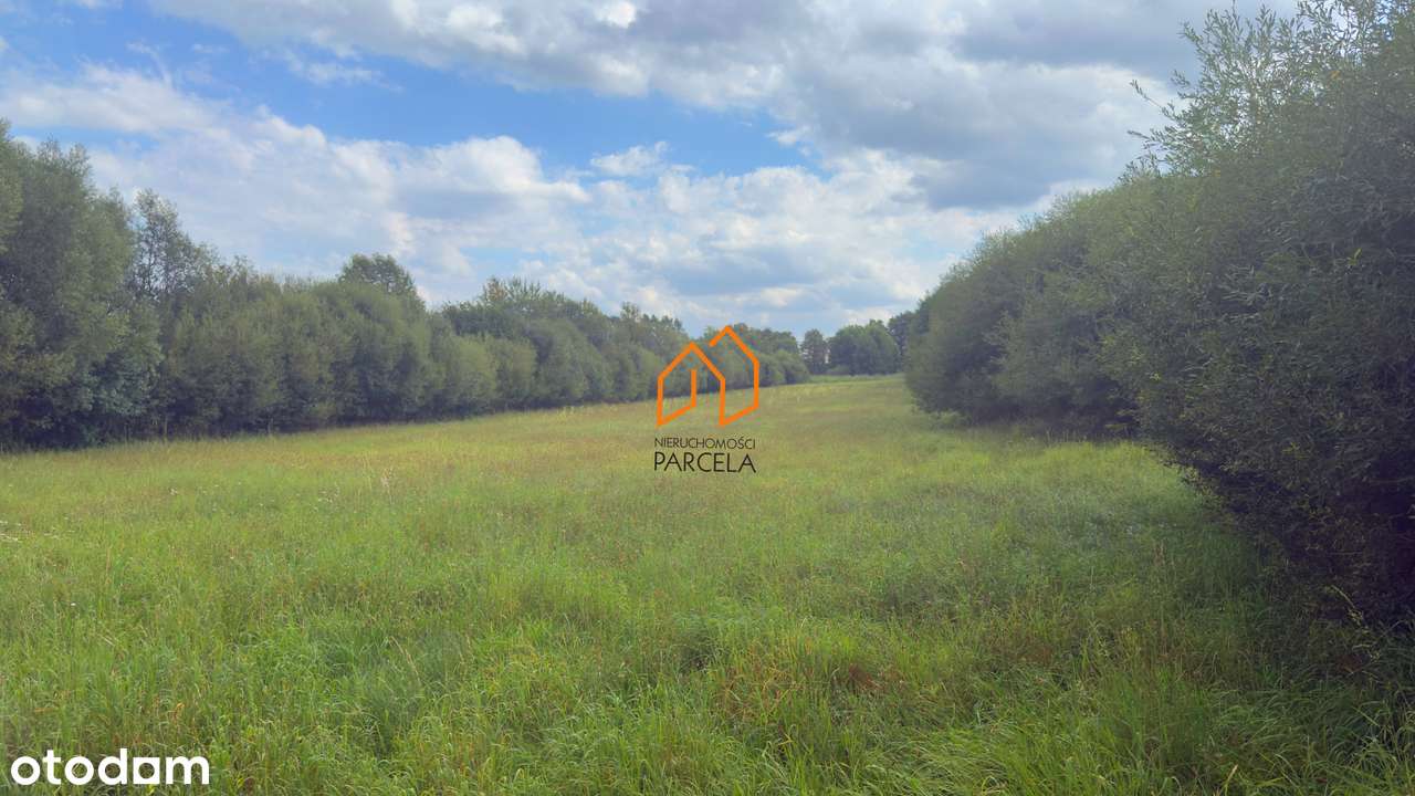 Działki pow. 2,8 ha, Konarskie. - Pełny obrazek: 4/5