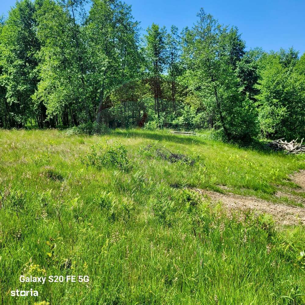 Oază de liniște – teren de vânzare 6.725 mp-2