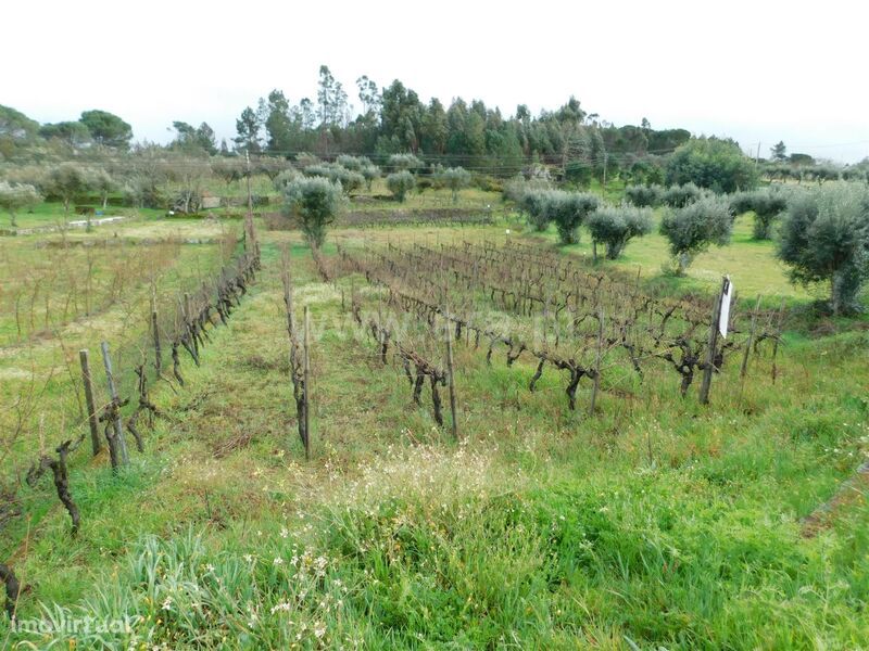 Terreno / Gouveia, Cativelos