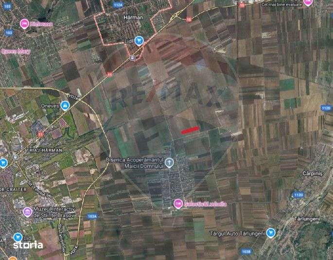 Teren Harman 37800mp la 50m de UAT Tarlungeni -cartier Izvor - Imagine principală: 2/3