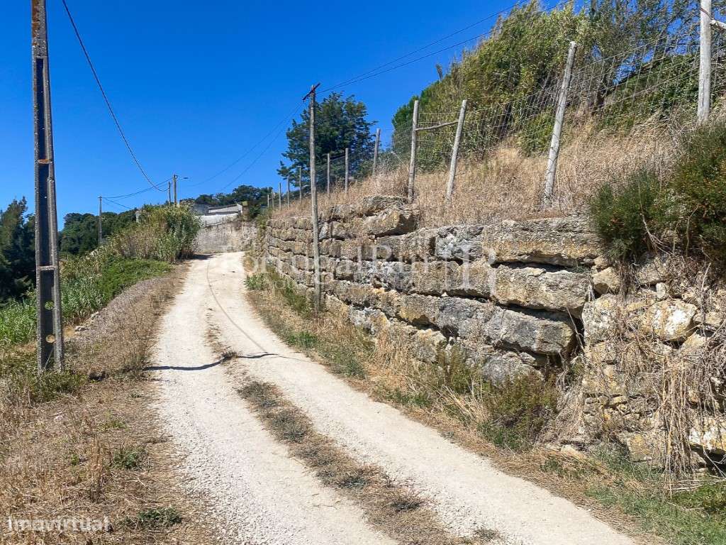 Complexo Agricola com 35.640 m² e 1.907 m² de área de construção-44