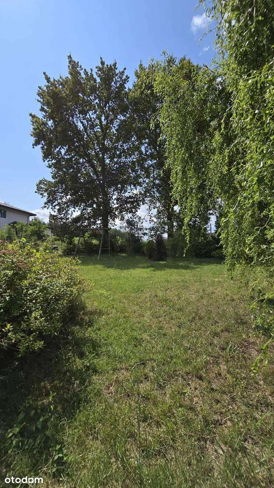 Sprzedam dom w spokojnej lokalizacji - Ciechomice - Pełny obrazek: 4/20