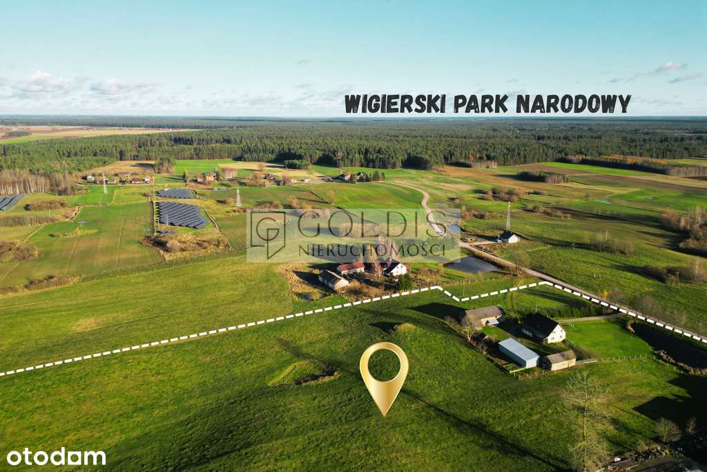 Siedlisko | Dom | Gospodarstwo z prywatnym stawem-3