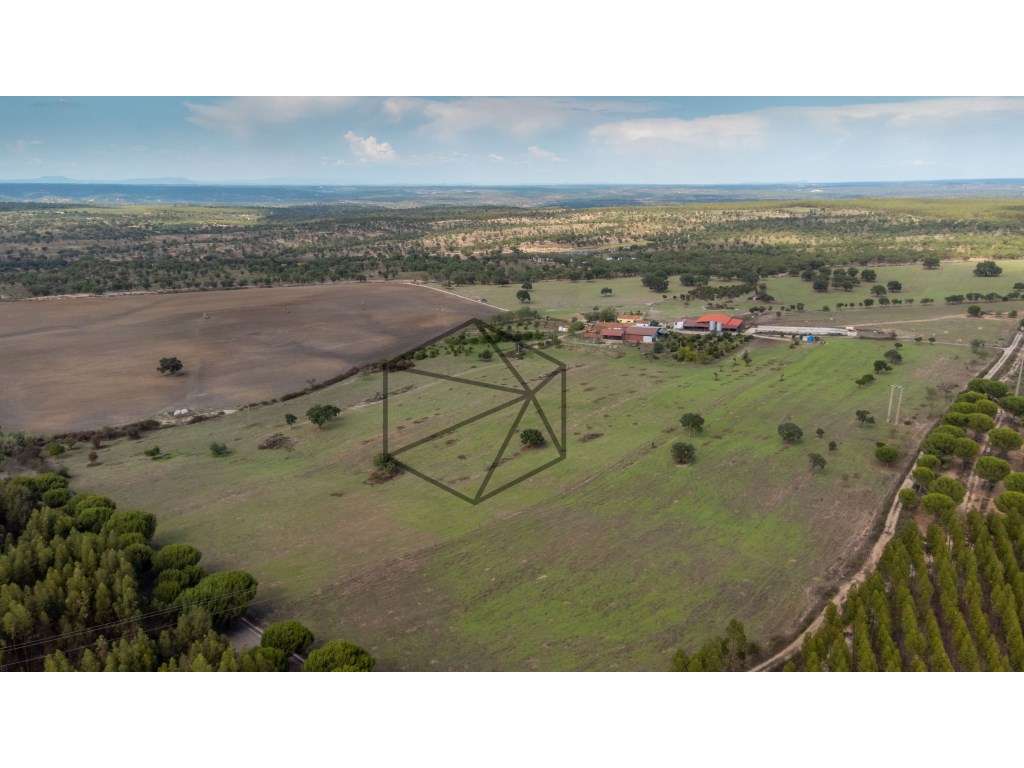 Quinta de 36 hectares para venda em Ponte de Sôr - Grande imagem: 3/29