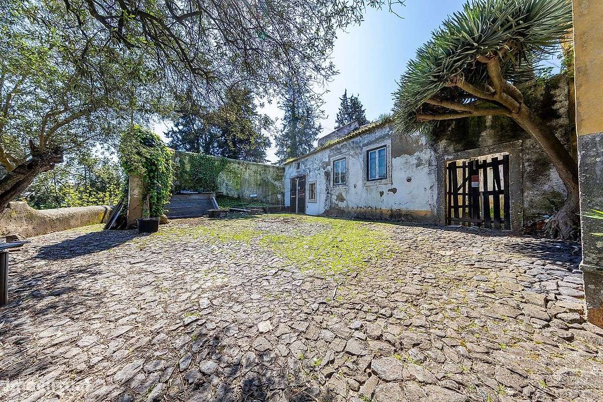 Quinta  para venda - Grande imagem: 4/16