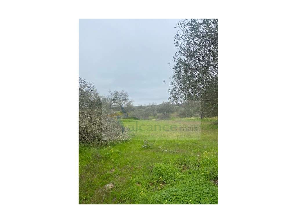 Terreno Misto em Vila Verde de Ficalho - Serpa (Beja, Portugal)-10