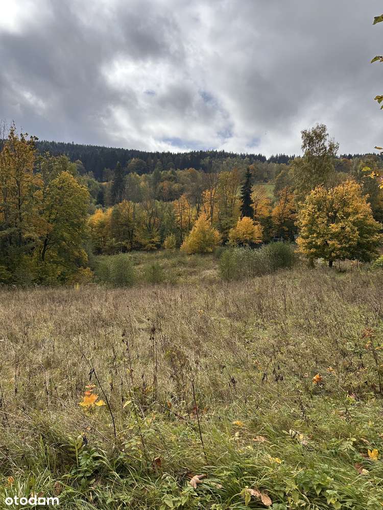Działka w górach z decyzją o warunkach zabudowy, okolice Karpacza-4