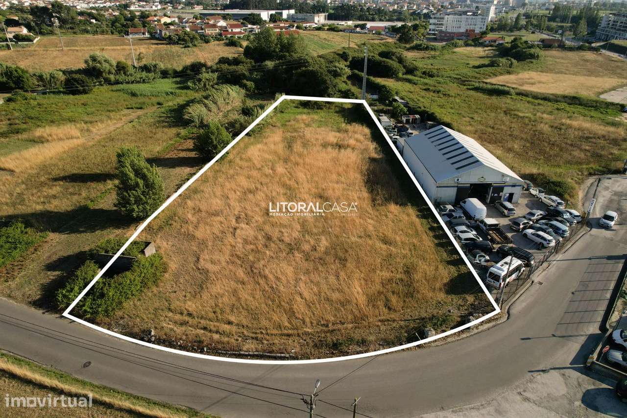 Terreno para construção em Altura - 5.350 m2 - Grande imagem: 2/20