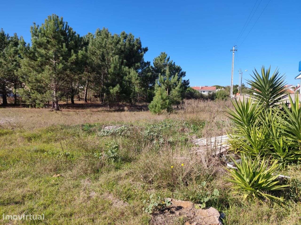 Terreno com viabilidade construção _ 905 Caldas da Rainha-8