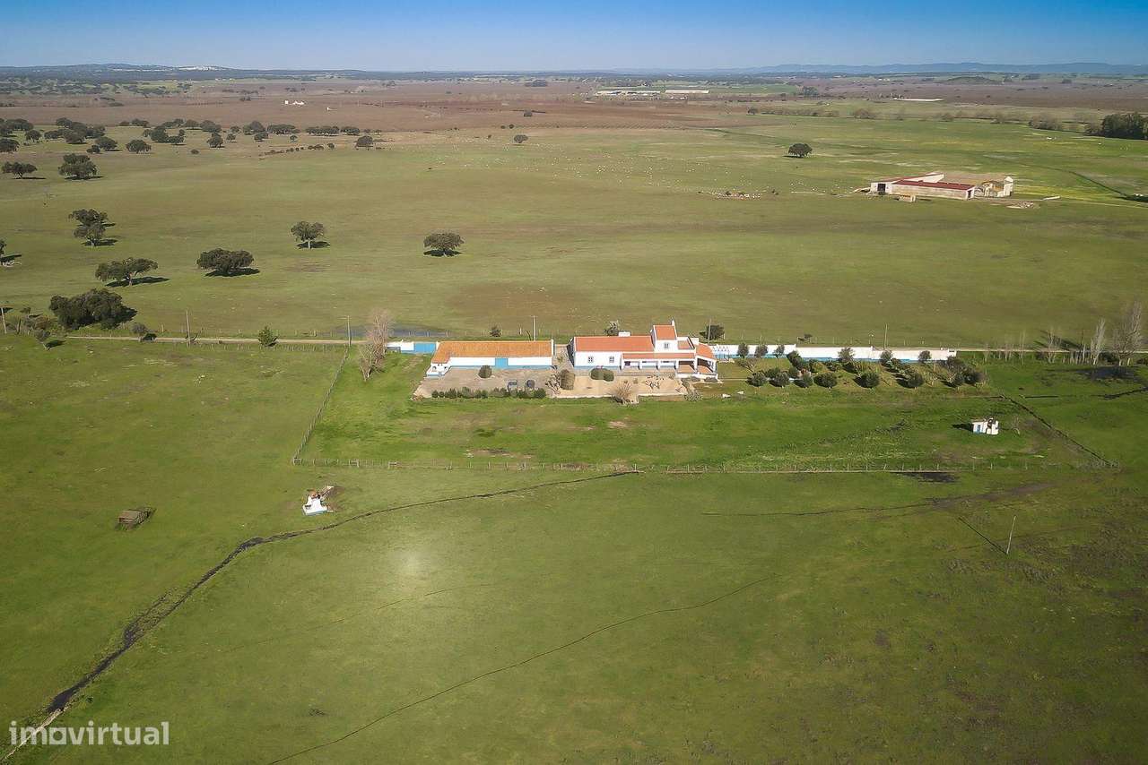Quinta de Charme no Coração do Alentejo | Viana do Alentejo - Grande imagem: 2/59