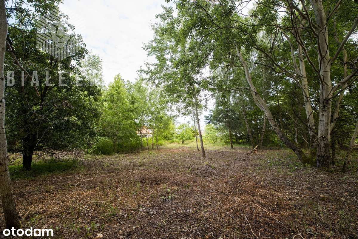 2 działki Wilcza Góra inwestycja 23% Vat - Pełny obrazek: 5/6