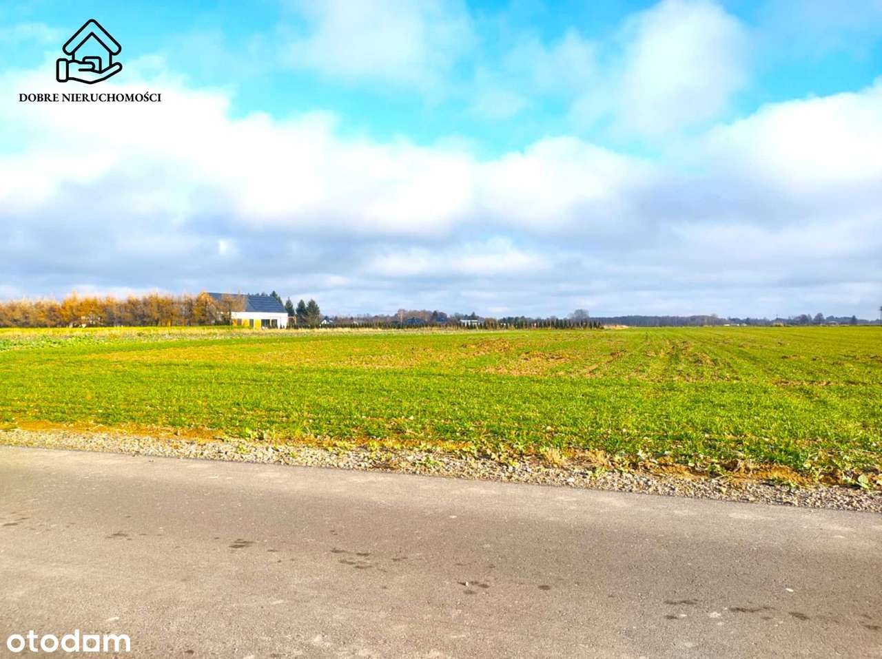 2600 m2 - Konopnica- Sporniak - Pełny obrazek: 4/6