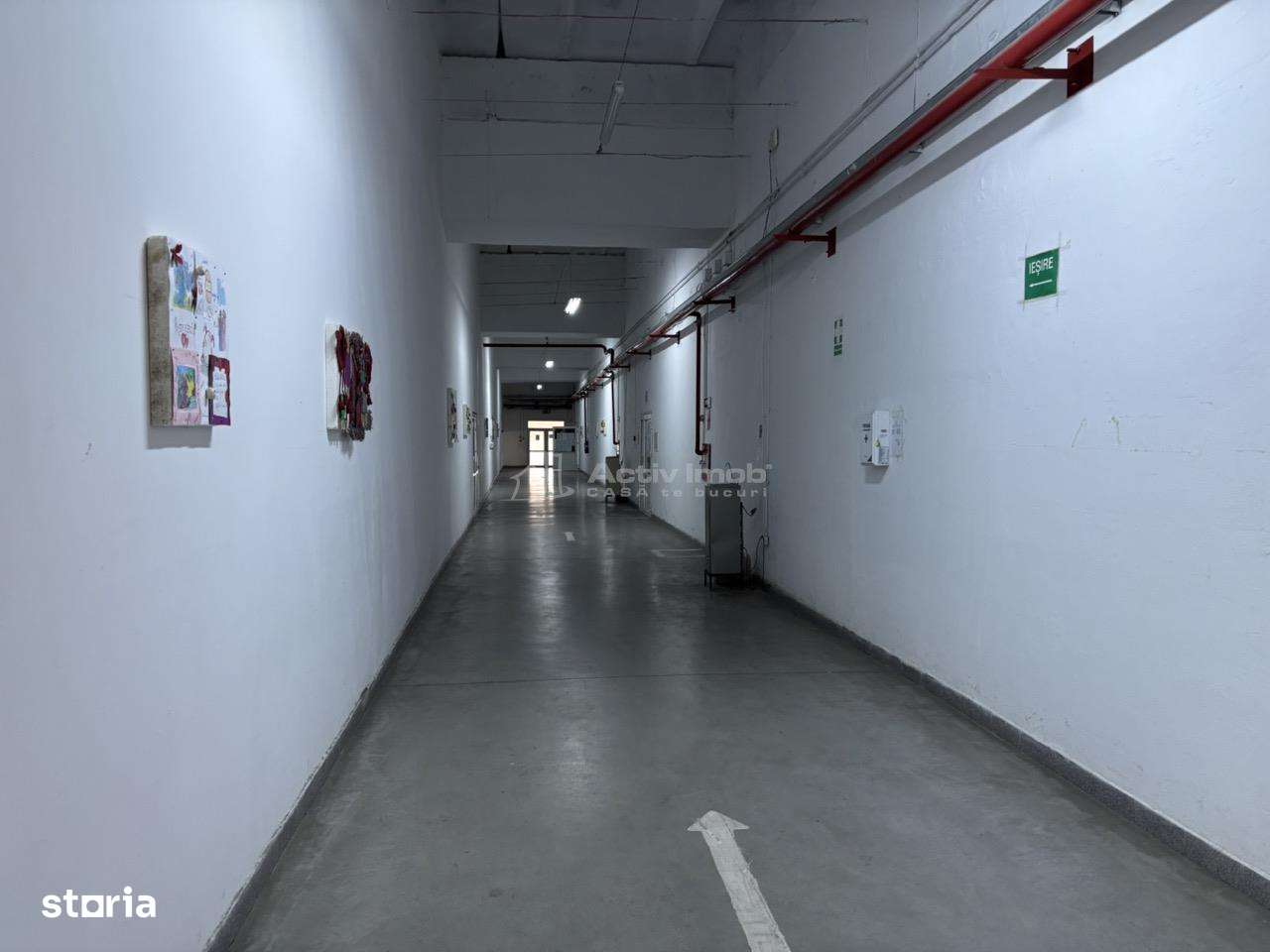 Complex industrial 30130  mp construit - Teren 42558 mp-10