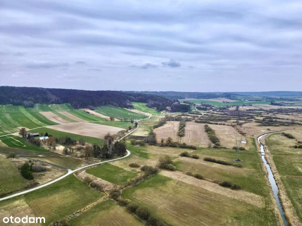 Działka w Zabytowie (gmina Skierbieszów) 3899m2 - Pełny obrazek: 4/4