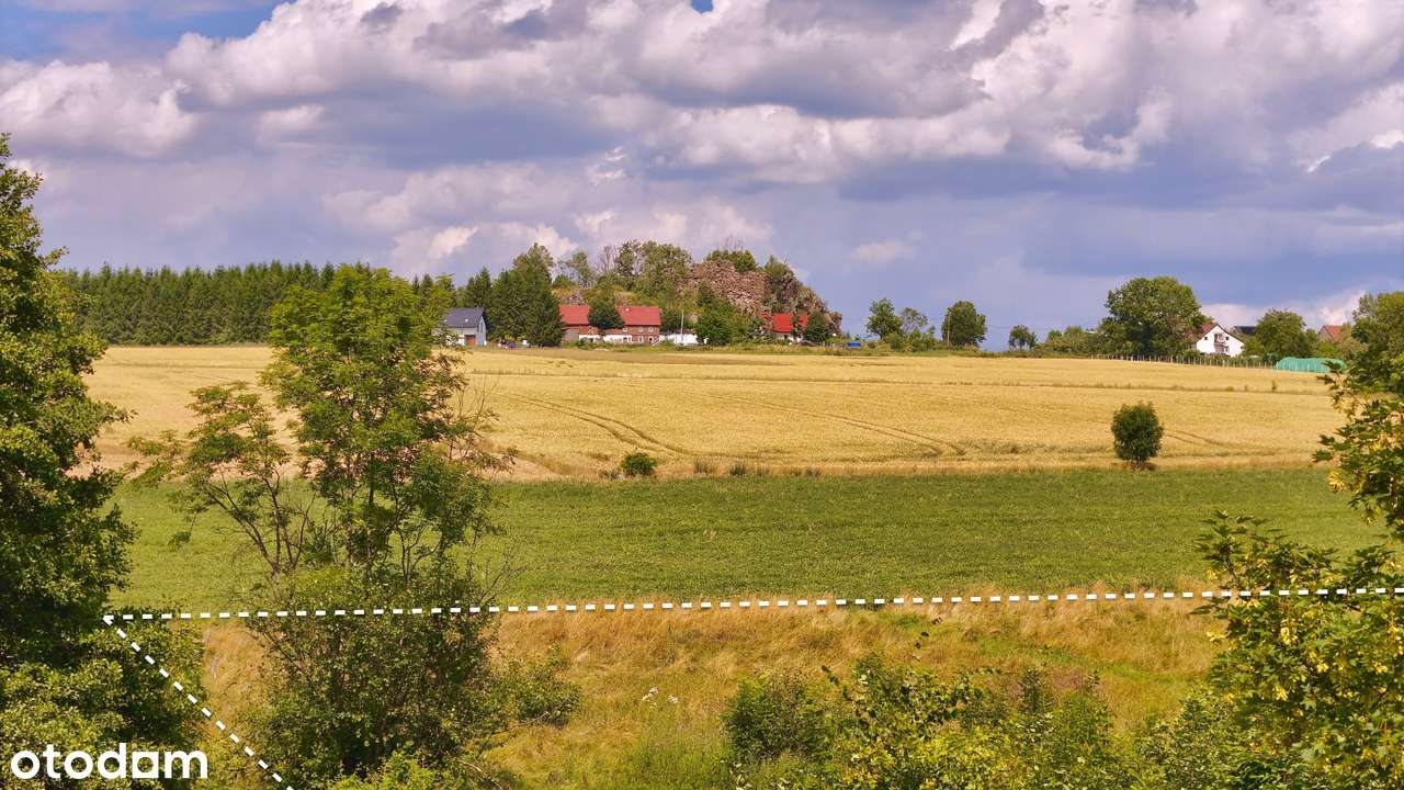Działka z mediami w spokojnej i atrakcyjnej lokalizacji we wsi Rząsiny - Pełny obrazek: 5/11
