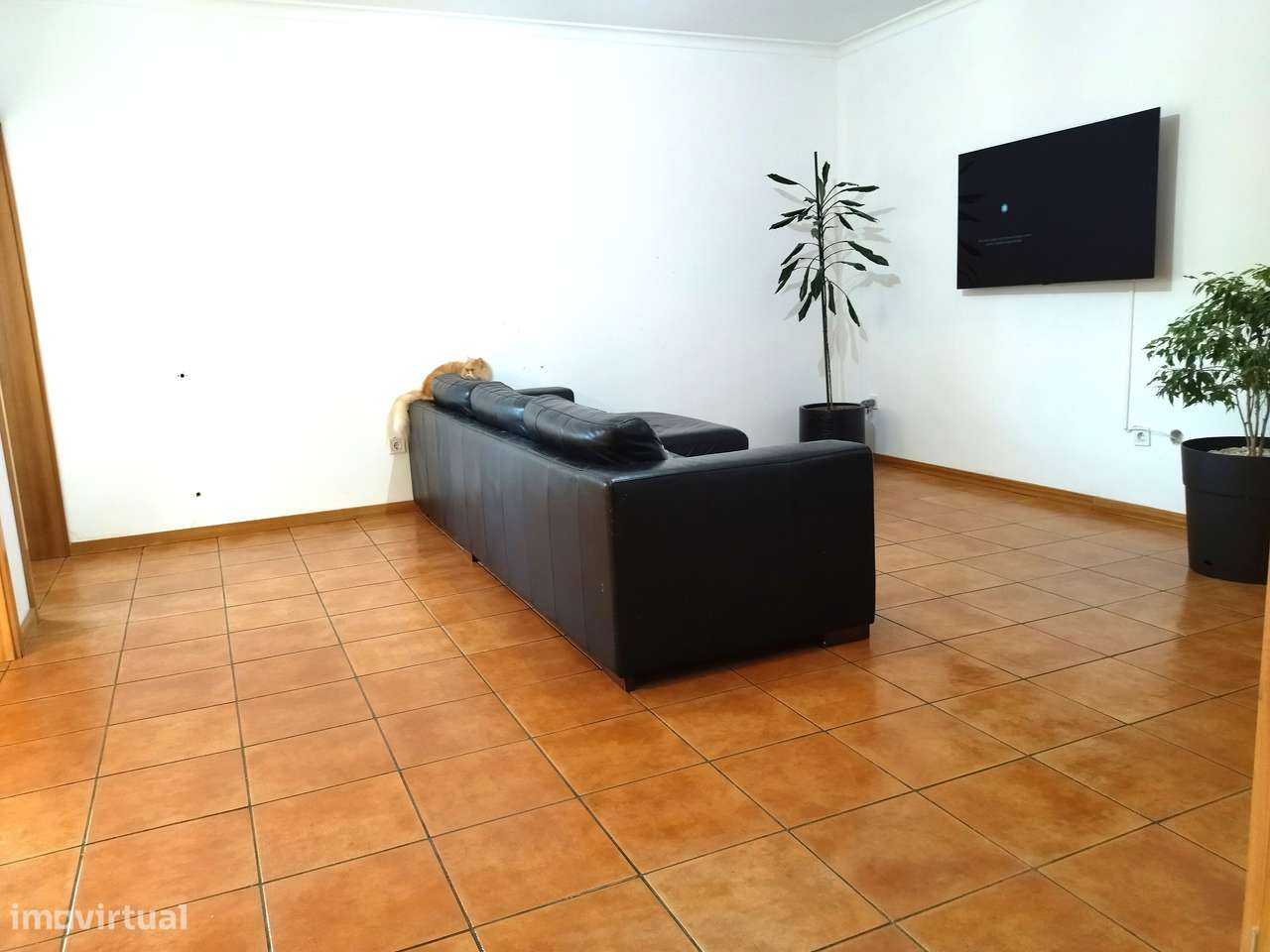 Apartamento T2 com varanda e garagem na Praia da Vagueira - Grande imagem: 2/17