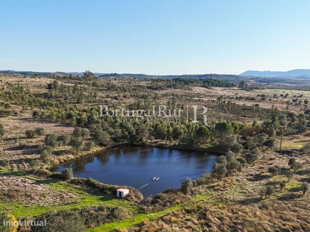 Herdade de regadio com 160 ha em Vila Velha de Ródão - Grande imagem: 5/60