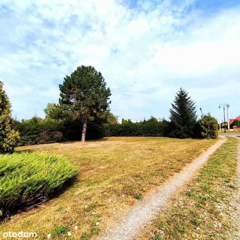 Wyjątkowy dom/grunt 24 ar/w otoczeniu zieleni.-9