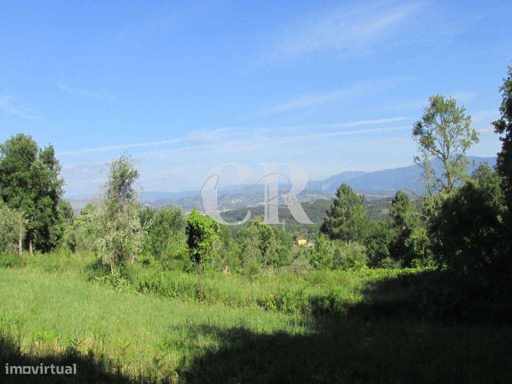 Ruina com Terreno em Vila Nova de Poiares na Central de Portugal - Grande imagem: 4/15