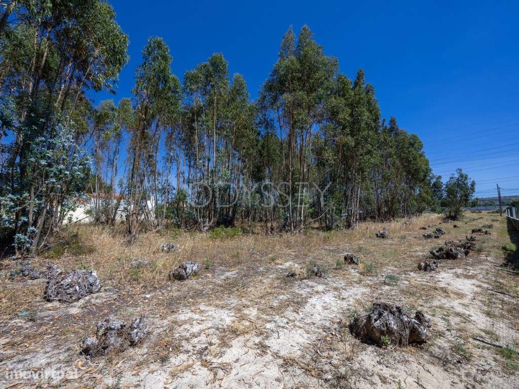 Terreno Venda Palmela-7