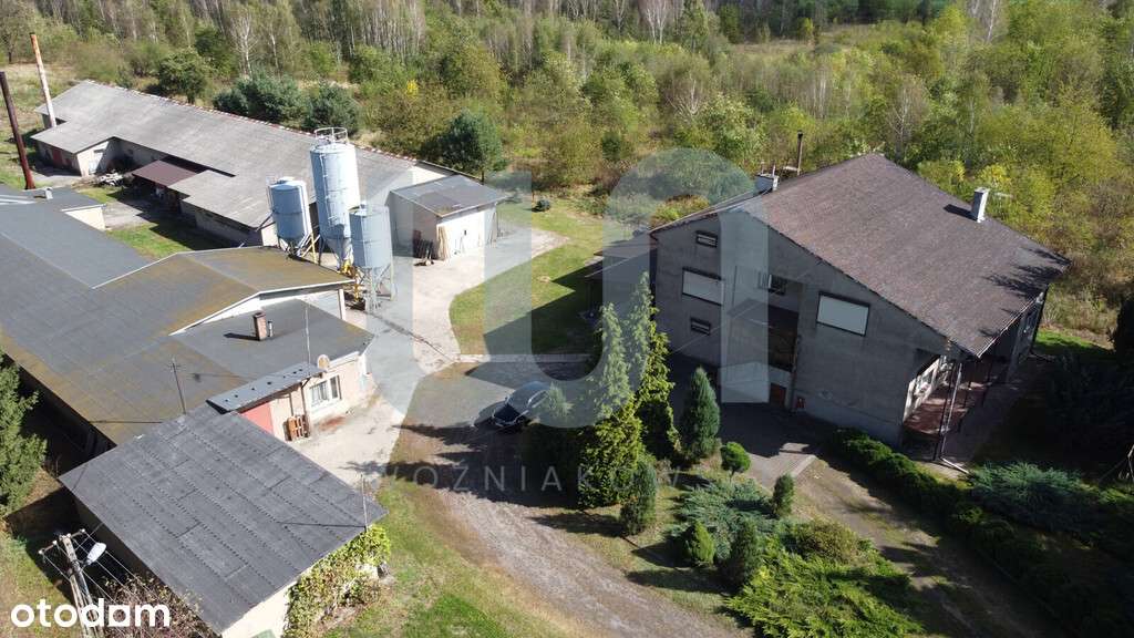 Dom/ Hale / Produkcja/ Magazyny/ Usługi-11