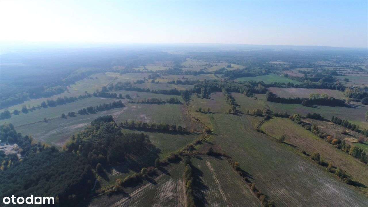 Ogromny teren inwestycyjny w Zielonej Górze - Pełny obrazek: 5/20