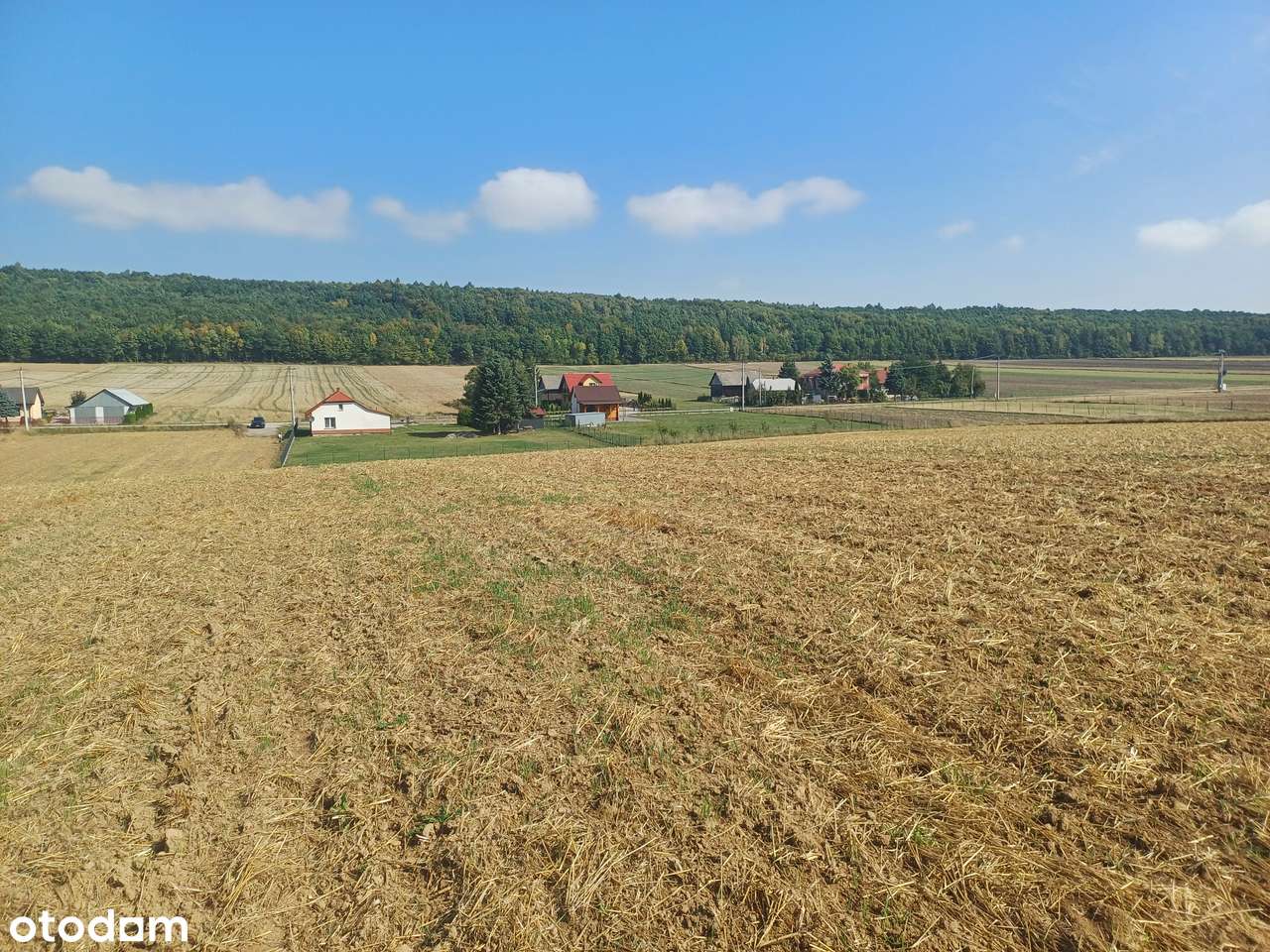 Działki rolne na sprzedaż - Klonów, gm. Racławice-7