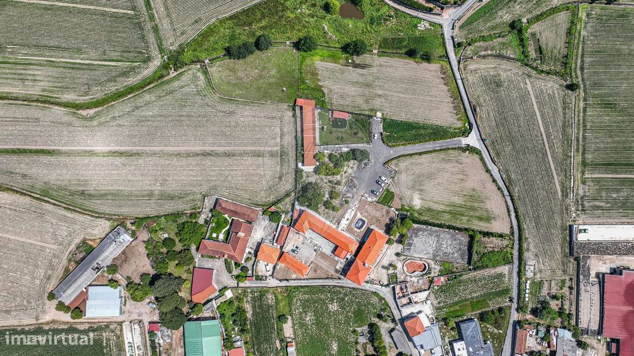 Quinta T21 para venda - Grande imagem: 3/48