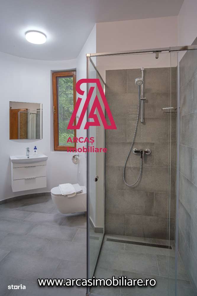 Afacere la cheie! Resedinta de lux- statiunea Paltinis!-18