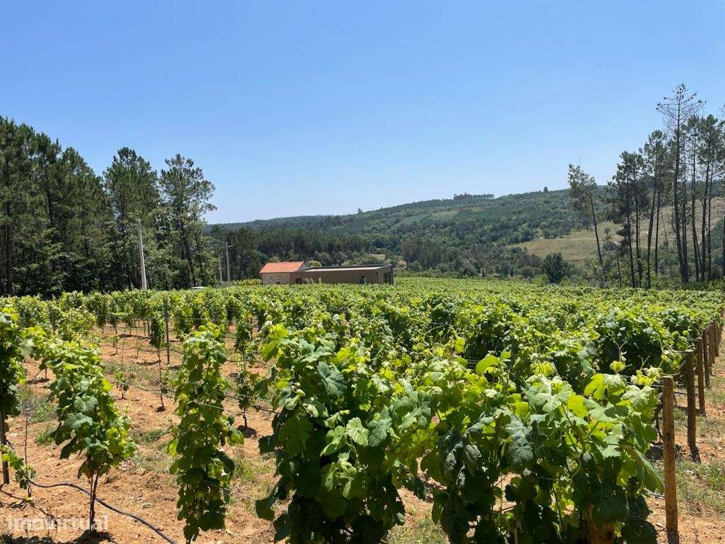 Quinta T0 Venda em Antas e Matela,Penalva do Castelo - Grande imagem: 5/9