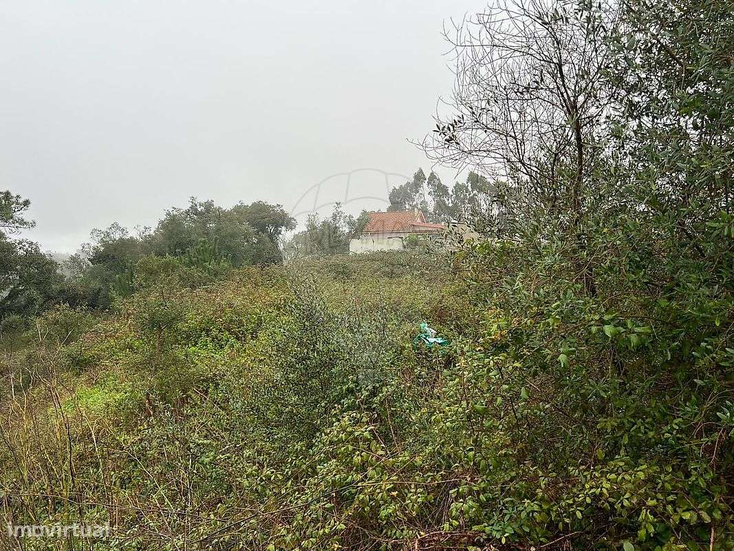 Terreno  para venda-3