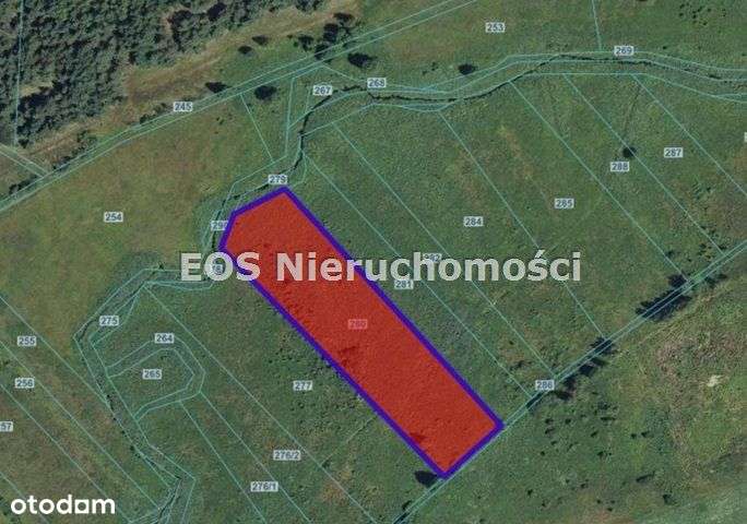 Działka, 23 100 m², Kundzicze - Pełny obrazek: 4/5