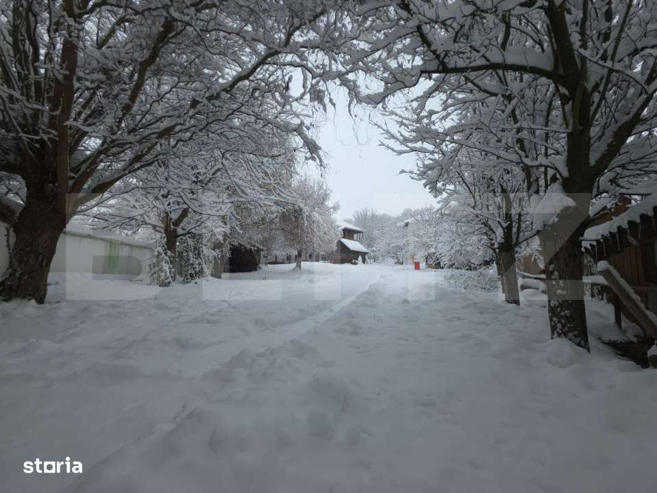 CONAC | 4ha DE TEREN | Cladire la rosu pretabila Agropensiune in Șard - Imagine principală: 4/19