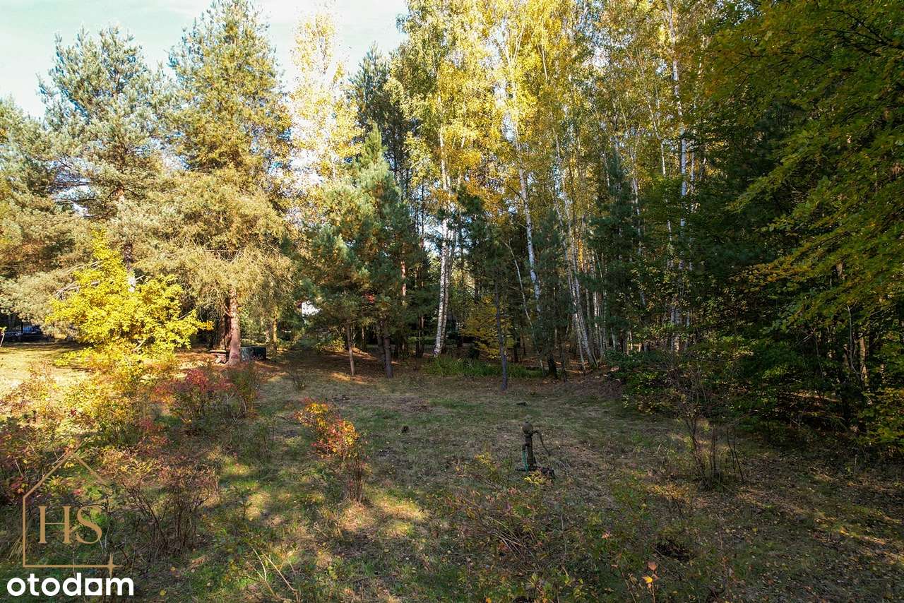 Piękna działka pod zabudowę/Zalesie gm. Żabia Wola/35 min od Wa-wy-12