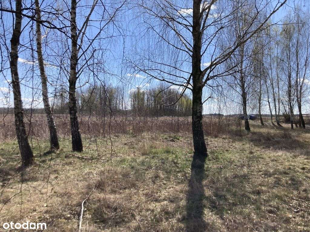 Działka, 4 100 m², Chynów-5